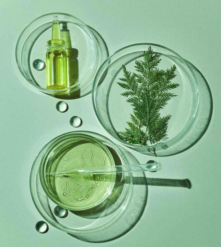 Créez vos propres produits cosmétiques Paris